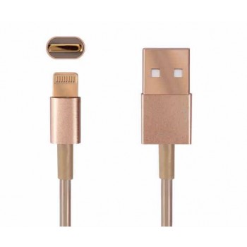 100CM data cable for iPhone 5 / 5s / 5c