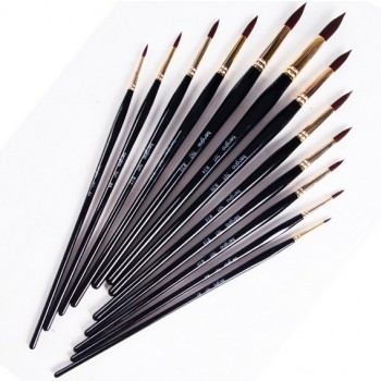 12pcs pointed nylon paintbrush set