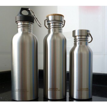 500 ~ 1000ml stainless steel kettle