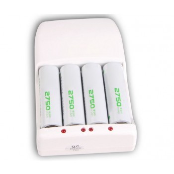 AA2750 mAh Rechargeable Battery Kit