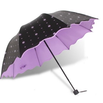 Bicolor flowers sun umbrellas