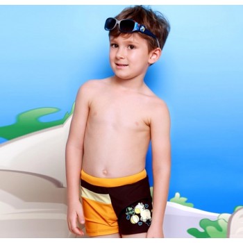 Cartoons little boy swim trunks