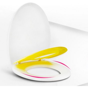 Dual-purpose children + adults toilet seat cover