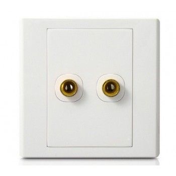 Dual Column Audio Lines Plug Wall Plate White