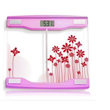Health scale / body scale