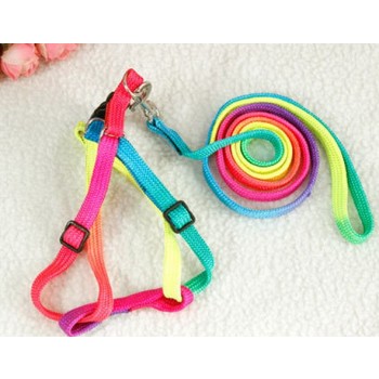 Multi-colored thoracodorsal traction rope for dog