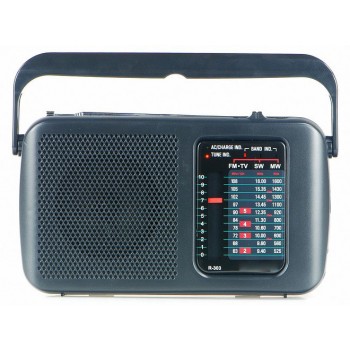 R-303 FM / MW / SW / TV sound radio