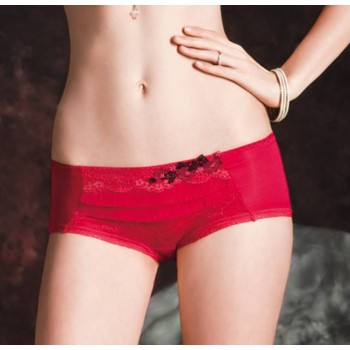 Sexy ladies underwear pants