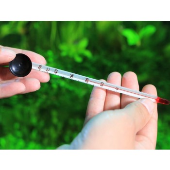 Sucker style fish tank glass thermometer