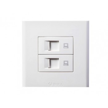 Two computer network Wall Plate