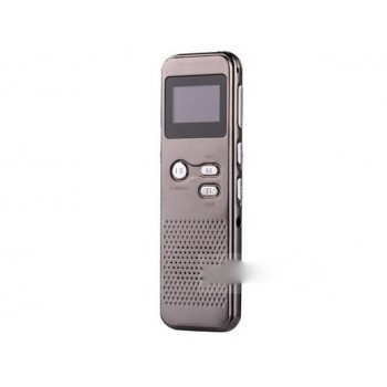 Voice and video dual-use digital voice recorder