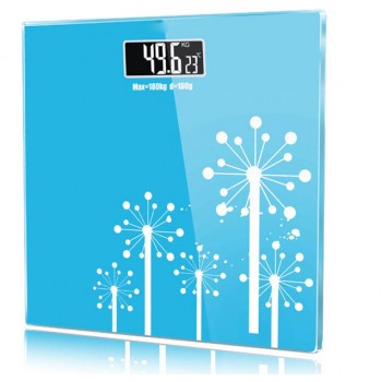 Weight scale / precision electronic body scale