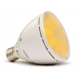 10W E27 White Dimmable PAR LED Ceiling bulbs