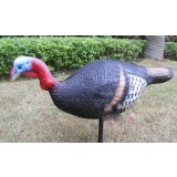 Bionic turkey hunting decoys