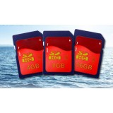 class 10 sd sdhc memory card