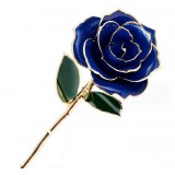 Gold plated Rose