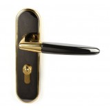 interior room door handle lock