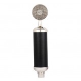 Large diaphragm condenser mic