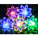 Lotus LED holiday lights