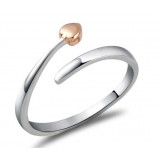 Love in the heart ring in sterling silver