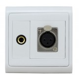 Microphone + 6.5mm Audio Plug Wall Plate