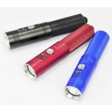 Mini U2 860 lumens diving LED flashlight