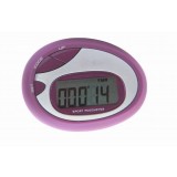 Multifunction minimalist 2D Pedometer