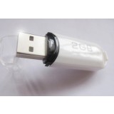 OEM logo USB 2GB Flash Drive
