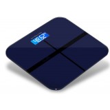 Precision Electronic body scale