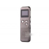 Voice and video dual-use digital voice recorder
