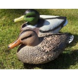 XPE Bionic Duck Hunting Decoys